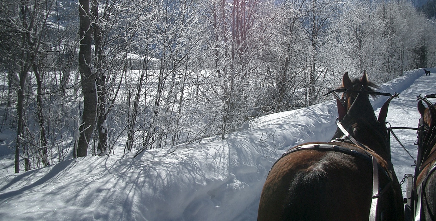 Romantische Schlittenfahrt durch das Rohr, Lauenen-Gstaad