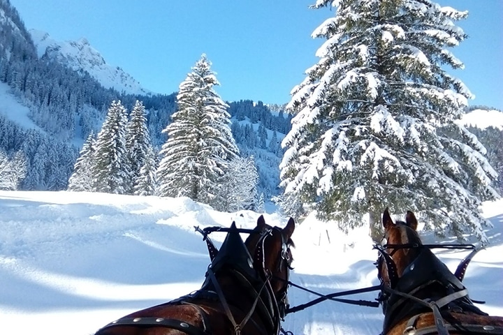 Die romantische Winterroute